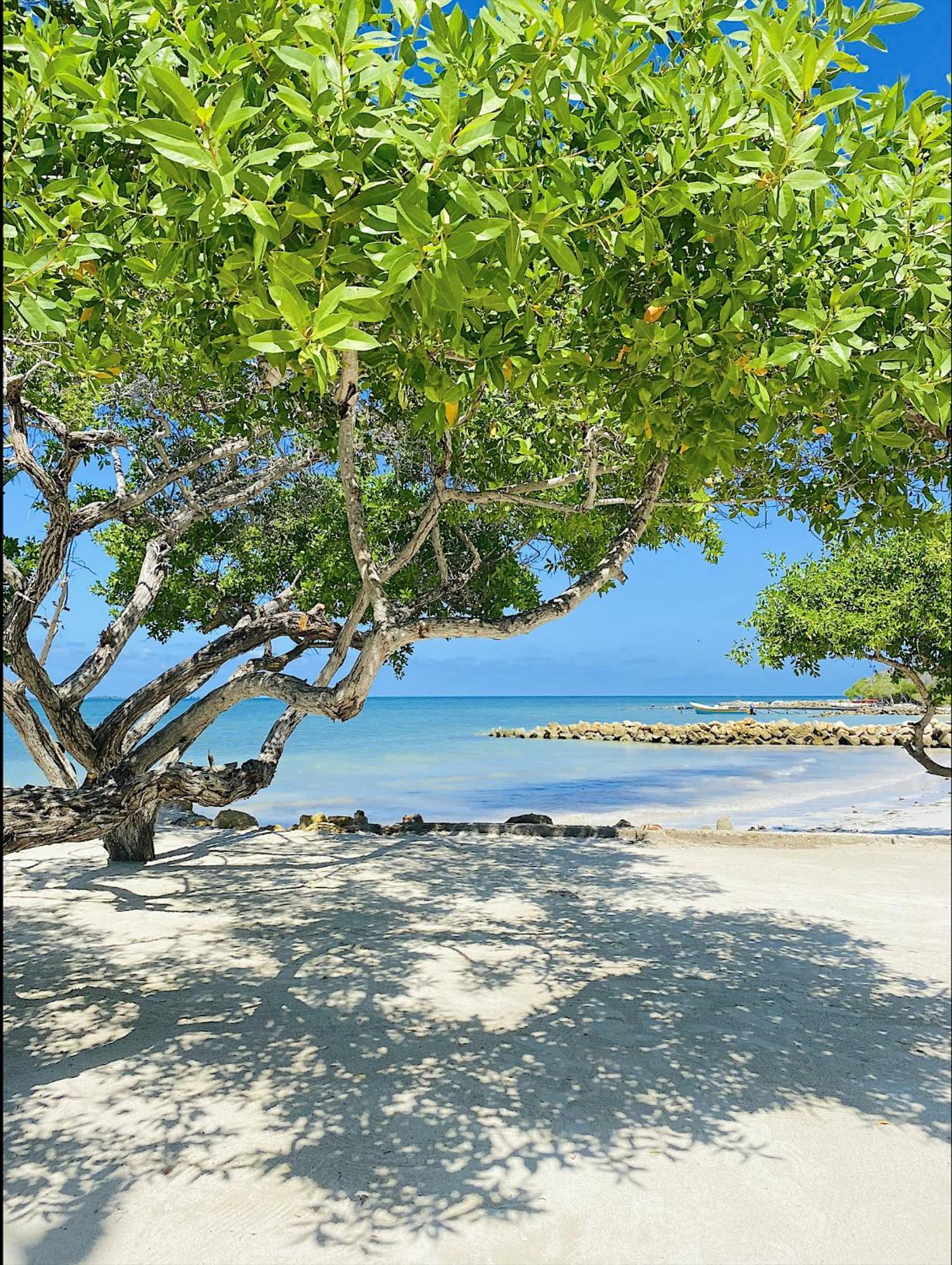 Carey Beach Isla Barú エクステリア 写真