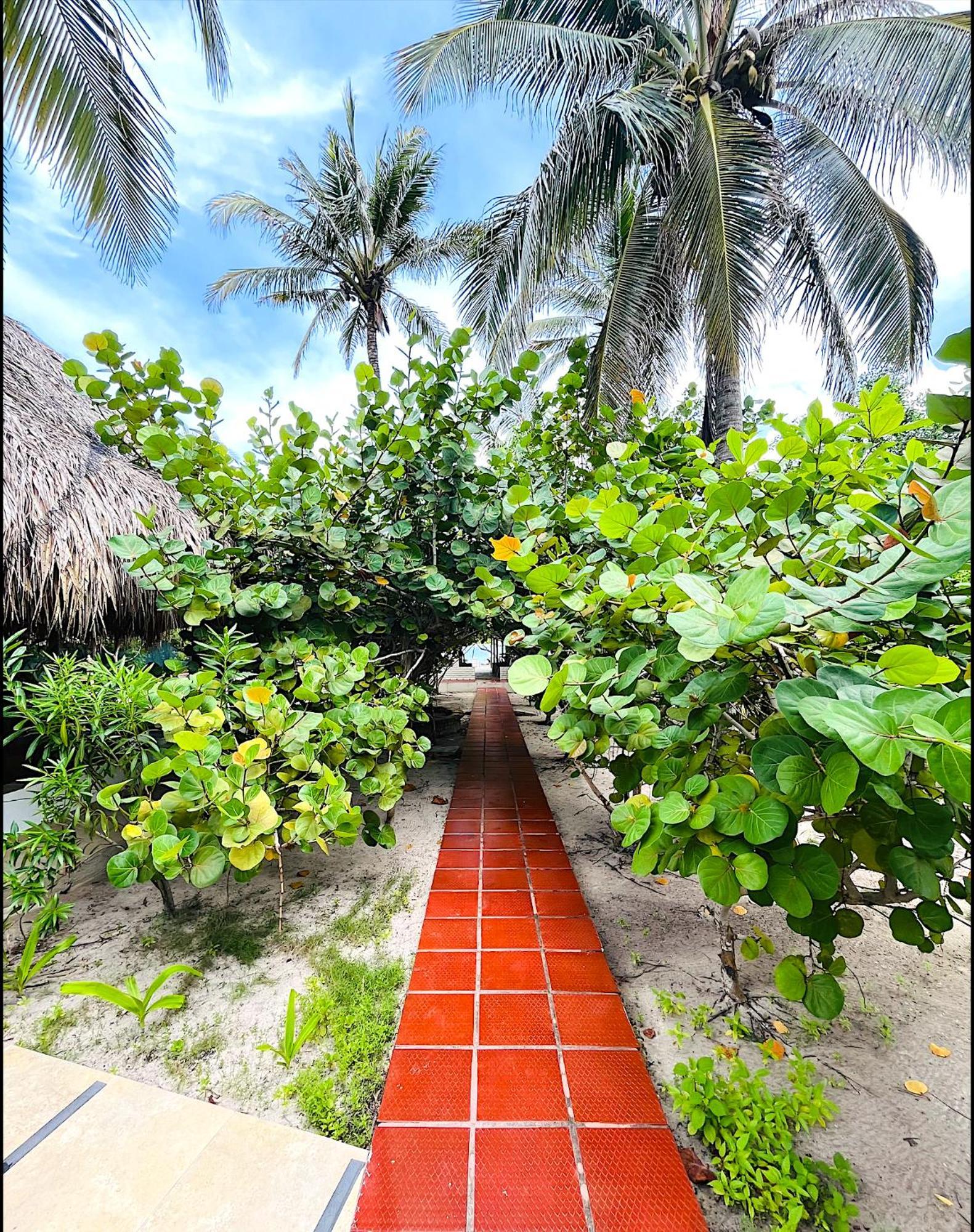Carey Beach Isla Barú エクステリア 写真